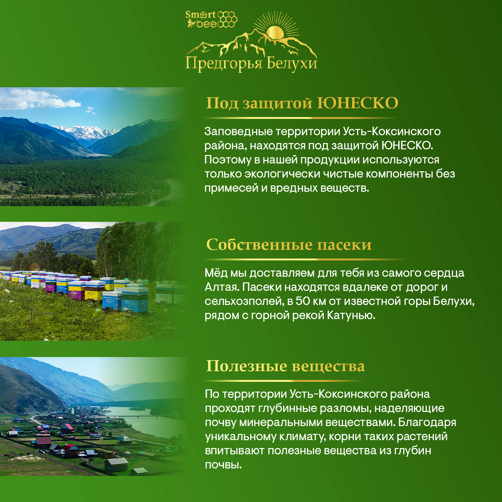 Мед горный натуральный разнотравье с цельным кедровым орехом 140 гр.