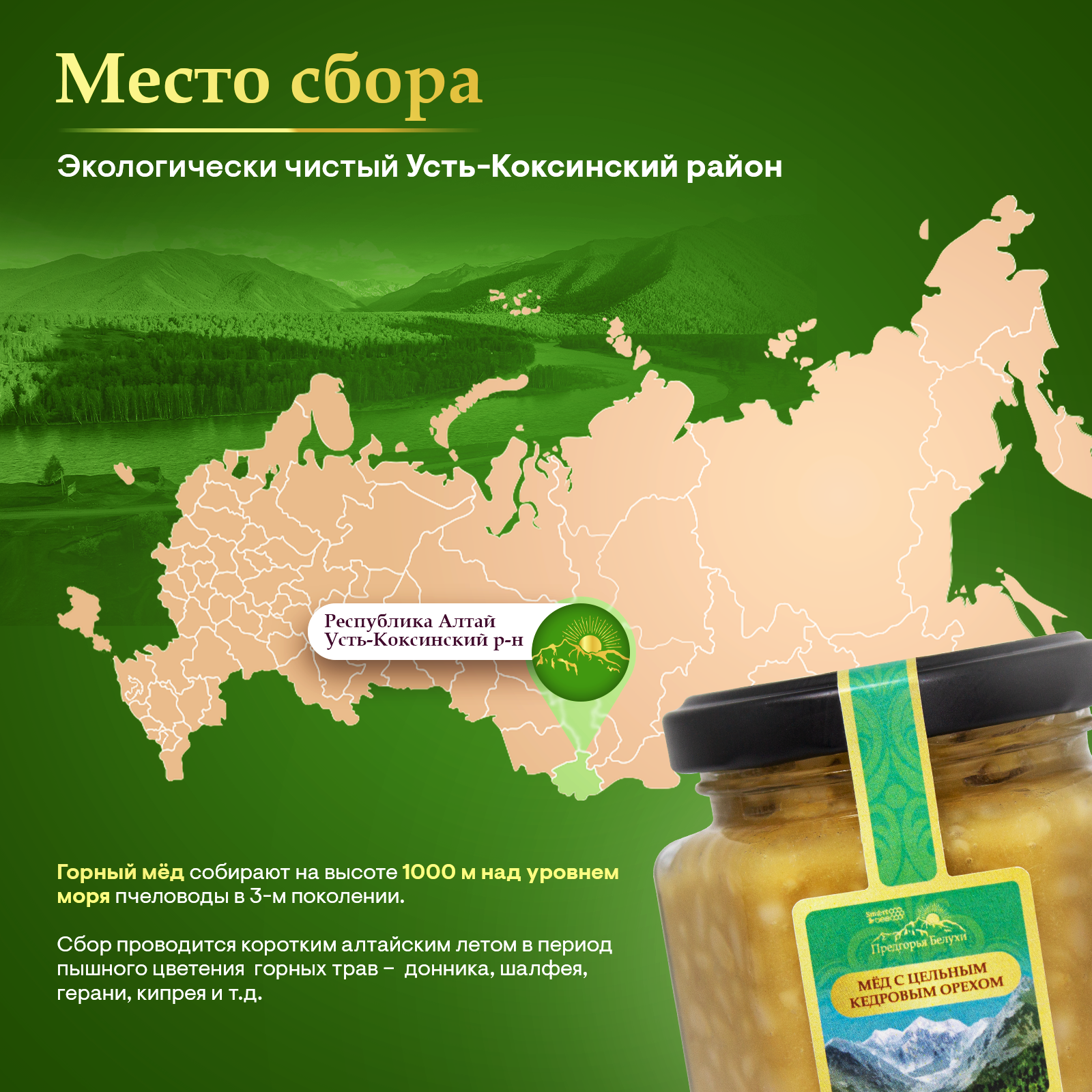 Мед горный натуральный разнотравье с цельным кедровым орехом 140 гр.